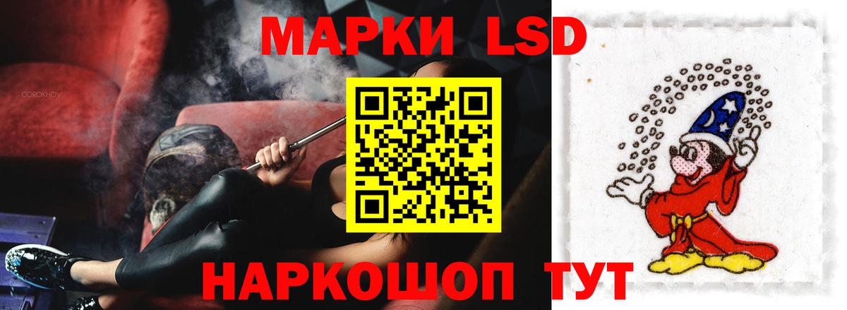 блэк спрут ссылки  ЛСД экстази ecstasy  LSD-25 экстази ecstasy  Вход с VPN  Киселёвск 
