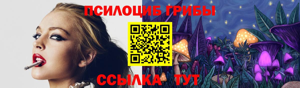 Галлюциногенные грибы Psilocybe Киселёвск